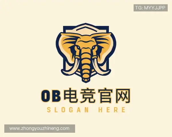 关于OB欧宝电竞